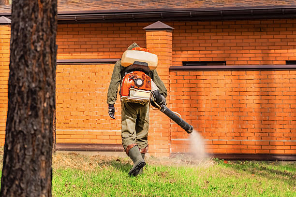 Trusted Bed Bug Control service in Ainsworth, NE - Nex Pest Control